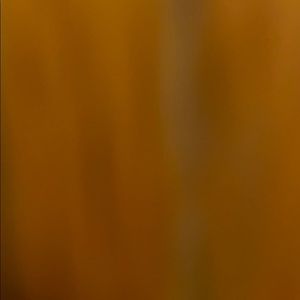 Meet your Posher, Leeland